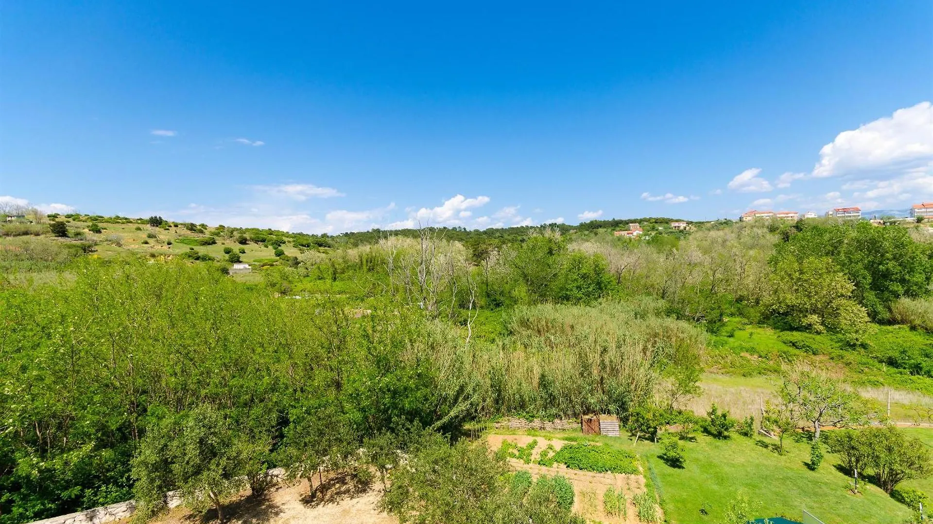 Apartments Ester Lopar Croatia