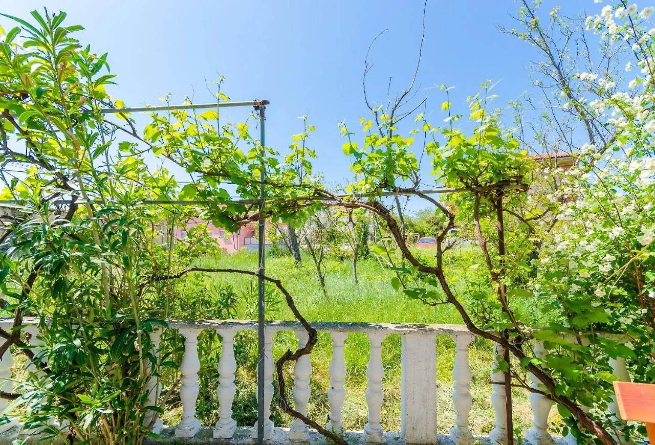 Apartments Ester Lopar 0*,  Croatia